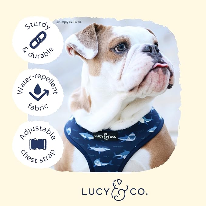 Lucy & Co. Reversible Dog Harness Walking Halter - Harnesses for Small Medium Large XL Dogs - Padded Adjustable - for German Shepherd Pug French Bulldog English Bulldog
