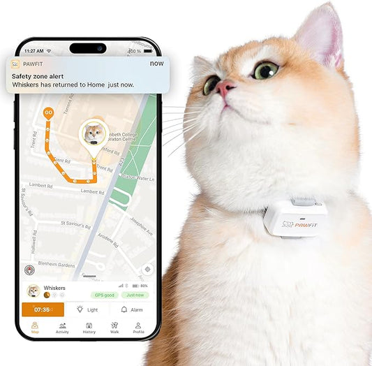 Pawfit Lite for Cats 4g GPS Tracker | Real Time Tracking | Activity Monitoring |Location History | Unlimited Range | Safety Collar Included | Simply White