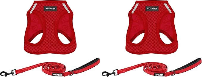 Voyager Step-in Air All Weather Mesh Harness and Reflective Dog 5 ft Leash Combo with Neoprene Handle, for Small, Medium and Large Breed Puppies by Best Pet Supplies - Leash Harness (Red), S