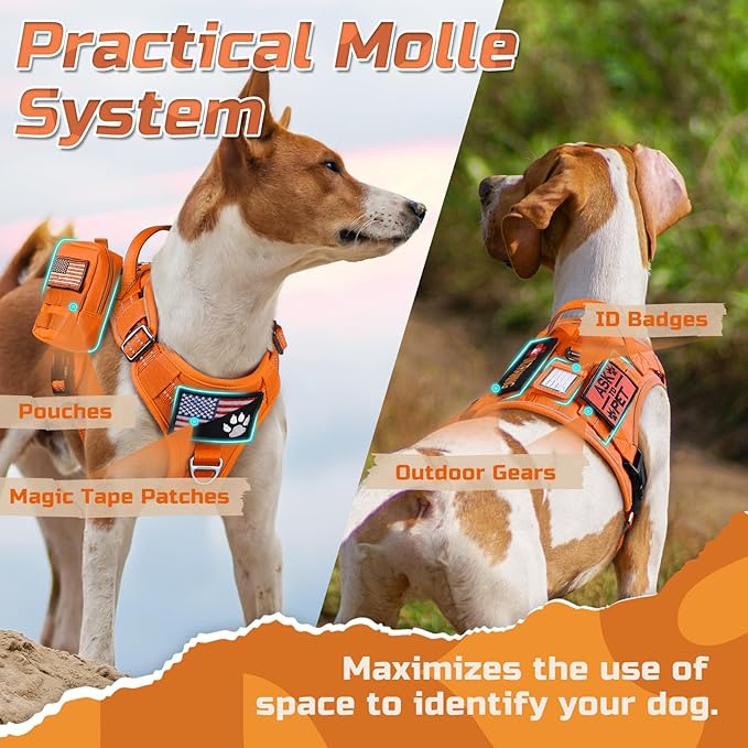 rabbitgoo Tactical Dog Harness for Large Dogs, No Pull Military Service Vest with Handle & Molle, Easy Control for Training Walking, Adjustable Reflective Straps, Orange, L