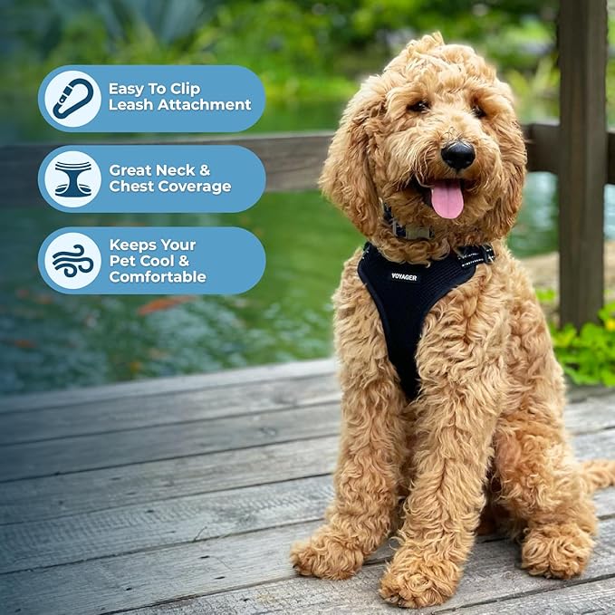 Best Pet Supplies Voyager Mesh Dog Breathable Harness Reflective Stitching, All Weather Adjustable for Walking Training, or Running - Heavy Duty & Durable, Harness Leash Set (Black), XS