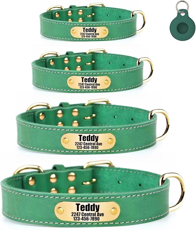 Moonpet Personalized Custom Leather Dog Collar with Engravable Nameplate with Airtag Holder Case- Durable Name Tag Collar - Customizable Dog Collar - Comfortable ID Collars for Small Dogs-Bluegreen-S