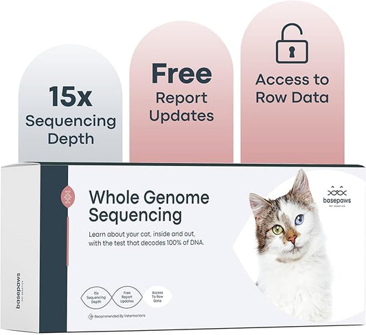 Basepaws Cat DNA Test Kit - Comprehensive Breed, Health and Dental Analysis Across 114 Traits for Accurate and Easy-to-Use Genetic Insights (Cat Whole Genome Sequencing, Basic)