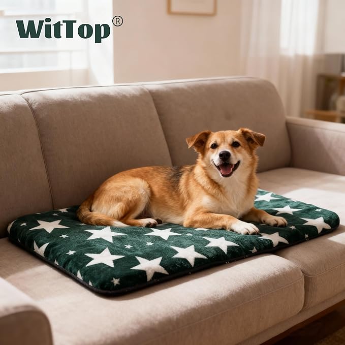 Washable Dog Bed Plush Orthopedic Outdoor Crate Mat with Non-Slip Bottom,Luxe Soft Kennel Pad for Pets, Cozy Cage Cushion & Pet Sleeping Mattress Large Sized,Medium,Small Dogs,36x24 inch,Green