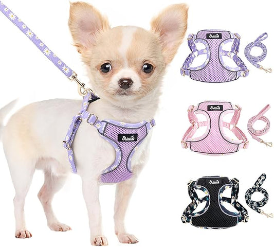 Lukovee No Pull Puppy Harness and Leash Set - Soft Lightweight Escape Proof Puppy Vest Harness, Breathable Adjustable Pet Harness with Dog Leash for Small Dogs (Purple, XXS)