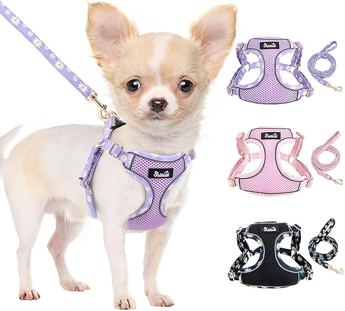 Lukovee No Pull Puppy Harness and Leash Set - Soft Lightweight Escape Proof Puppy Vest Harness, Breathable Adjustable Pet Harness with Dog Leash for Small Dogs (Purple, S)