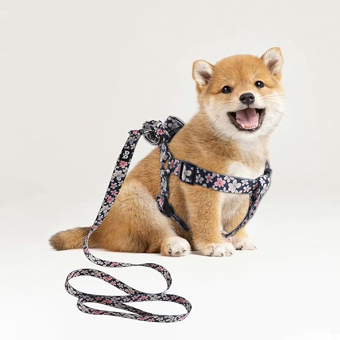 QQPETS Dog Harness Leash Set Adjustable Heavy Duty No Pull Halter Harnesses for Small Medium Large Breed Dogs Back Clip Anti-Twist Perfect for Walking