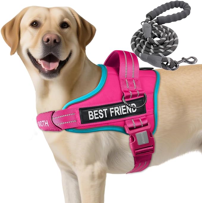 AUROTH Dog Harness and Leash Set, Soft Padded Dog Vest with 5.25FT Dog Leash, No Choke, Easy On Pet Vest, Adjustable Reflective No Pull Dog Harness for Large Dogs, Easy Walking and Training