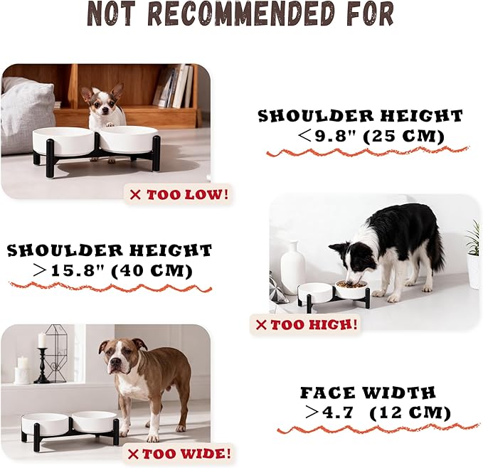 Raised Ceramic Dog Bowl Set - Elevated Double Dishes with Stainless Steel Stand - Food and Water Bowls for Small Dogs and Indoor Cats - Each Holds 2.1 Cups (14 fl oz) - White