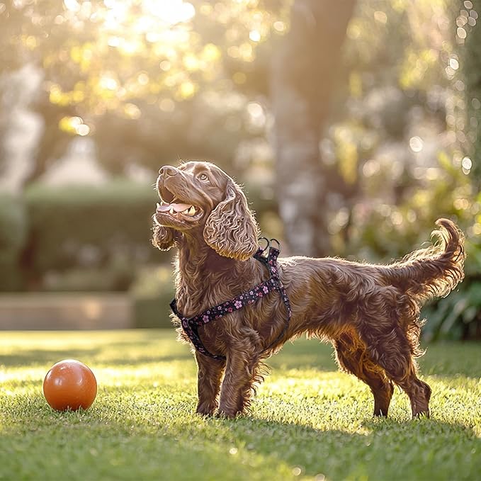 QQPETS Dog Harness Leash Set Adjustable Heavy Duty No Pull Halter Harnesses for Small Medium Large Breed Dogs Back Clip Anti-Twist Perfect for Walking