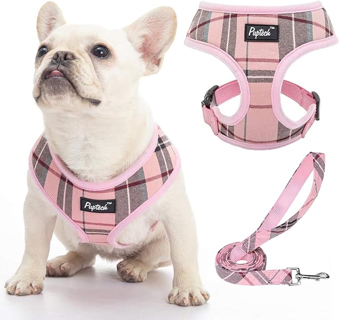 PUPTECK Soft Mesh Dog Harness and Leash Set Pet Puppy Cat Comfort Padded Vest No Pull Harnesses, Light Pink, S