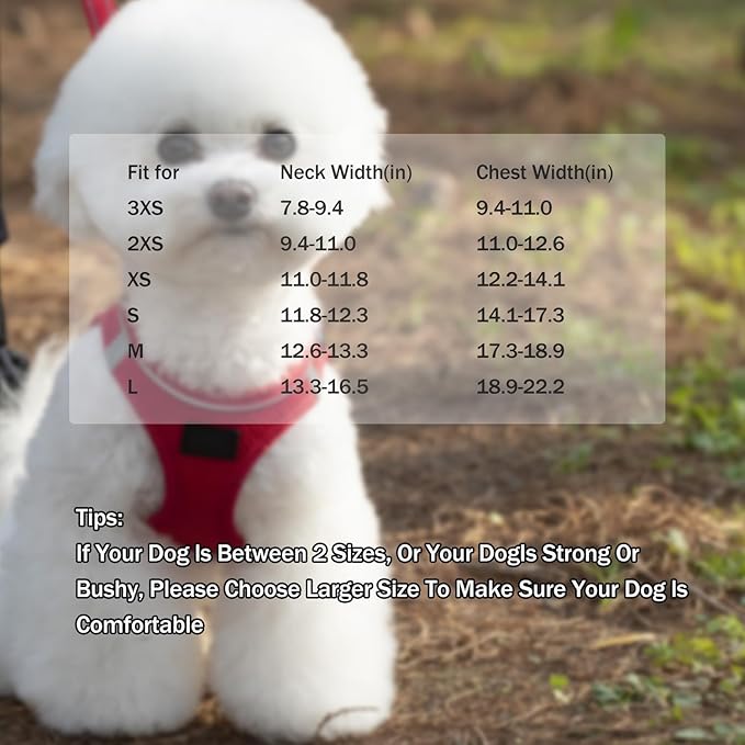 Dog Harness and Leash Set, No Pull Mesh Puppy Harness for Small Medium Sized Dogs, Pet Vest for Walking Running Training, Double D-Rings Reflective Strip