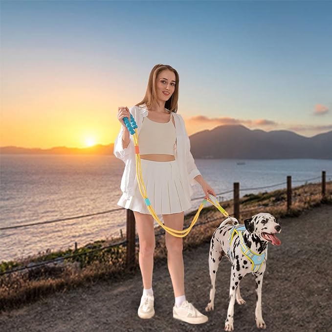 JSXD Dog Leash,5 FT Heavy Duty Dog Training Leash,Double Handle Comfortable Padded Hands Free Dog Leash,Adjustable Crossbody Waist Leash for Small Medium Large Dogs(Yellow)