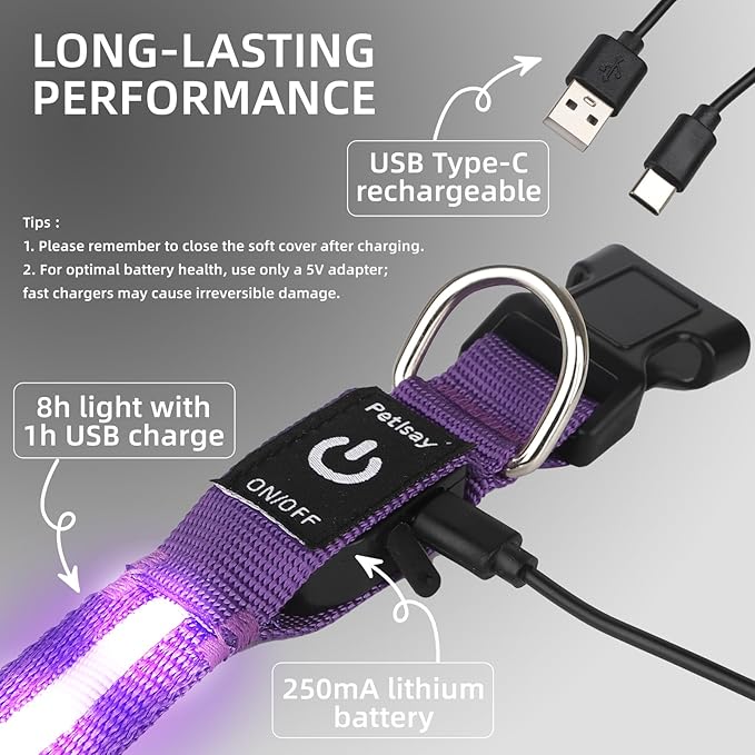 Super Bright LED Dog Collar - Fully Waterproof & Adjustable Glow Collar - USB-C Rechargeable for Night Walking, Safety - Flashing Lighted Collar for Dogs(Purple,Large)
