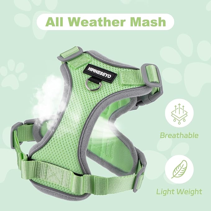 Small Dog Harness and Leash Set, No Pull Adjustable Pet Harness for Small Dogs, Breathable Mesh Rflective Dog Vest Harness (Green, XXS)