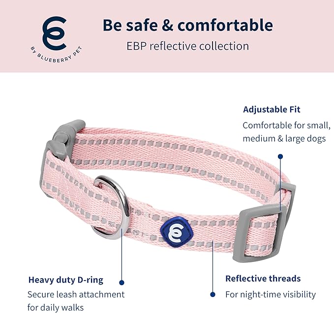 Blueberry Pet Essentials Matching Dog Collar & Leash Set | Pastel Reflective Adjustable Collar with 4 ft Lead for Large Dogs, Baby Pink