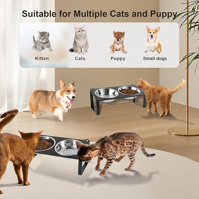 3 Set Elevated Cat Food Water Bowls, 6 Stainless Steel Bowls for Indoor Pet with Cute Metal Stand, 10° Tilted Anti-Vomiting Raised Wide Shallow Cat Dishes Whisker Friendly for Multiple Kitten,Puppy