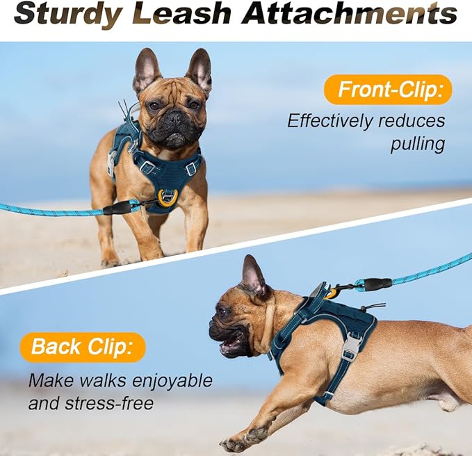 BARKBAY Service Dog Vest Tactical Dog Harness Medium Large Sized Dog Tags Personalized No Pull Adjustable Harness Reflective Working Training Easy Control Military Molle System(Legion Blue,S)