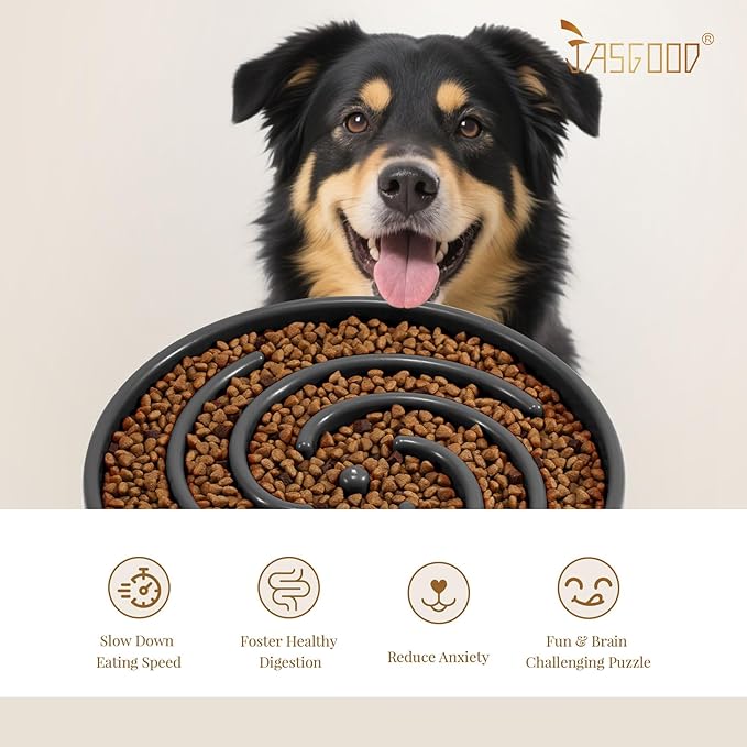 JASGOOD Slow Feeder Bowl for Large Dogs, Anti-Gulping, Prevents Bloat & Choking