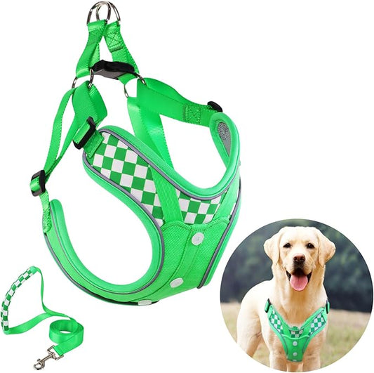 Dog Lovely Harness with Leash Set, Adjustable Step in with Breathable Padded Puppy Harness for Large Medium Dogs (L Green)