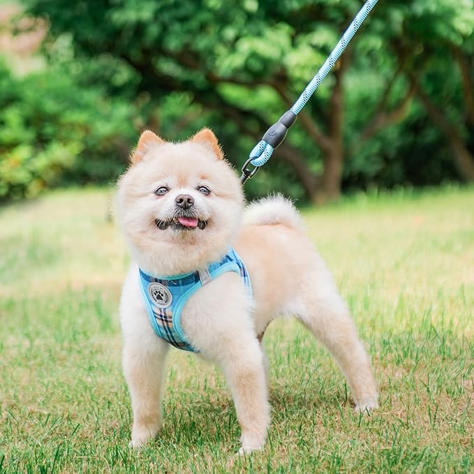 BEAUTYZOO Small Dog Harness and Leash Set,Step in No Choke No Pull Soft Mesh Dog Harnesses Reflective for Extra-Small Medium Puppy Dogs and Cats, Plaid Dog Vest Harness for XS S Pets, Blue XS