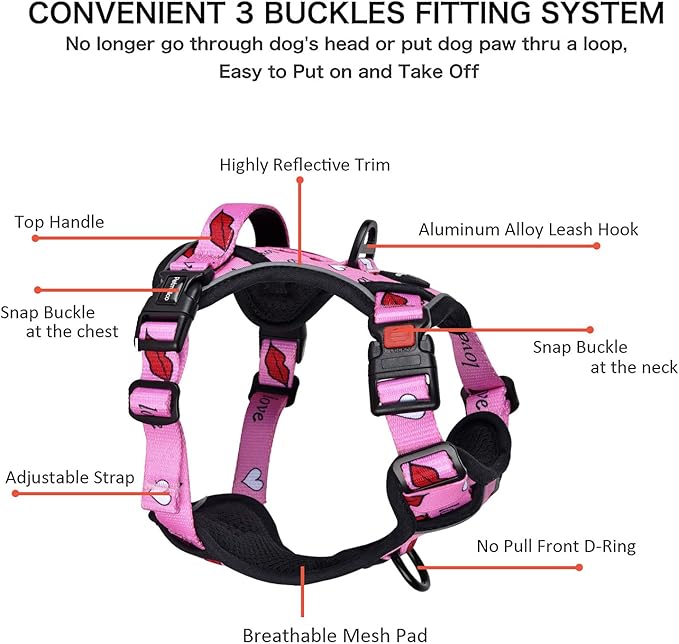 Petmolico No Pull Dog Harness Set with Leash Attachment Easy Control Handle Reflective Harness Vest Small Breed, Puppy Vest and Leash Set with Poop Bag Holder, Medium - Red Lips