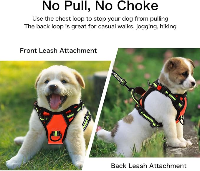 Petmolico No Pull Dog Harness Set,4 Leash Attchment Easy Control Handle Reflective Vest Dog Harness Small Breed Dogs Harness and Leash Set with Poop Bag Holder,Small-Orange