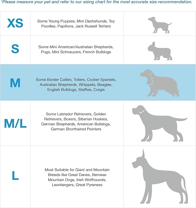 Blue-9 Buckle-Neck Balance Harness, Fully Customizable Fit No-Pull Harness, Ideal for Dog Training and Obedience, Made in The USA, Black, Medium