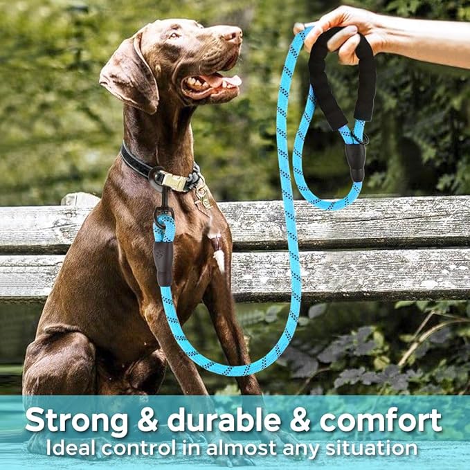 COOYOO Dog Leash 5/6 FT with Comfortable Padded Handle and Highly Reflective Threads for Small Medium and Large Dogs