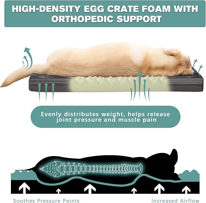 Waterproof XXL Dog Beds Large Sized Dogs, Washable Crate Pad 48 inch, Jumbo XXLarge Foam Orthopedic Pet Bed with Removable Cover Reversible, Anti-Slip Kennel Pad, 47"x29", Dark Gray