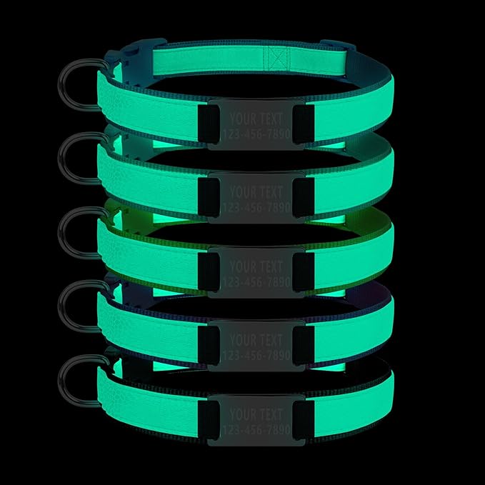 Custom Glow in The Dark Dog Collar with Name & Phone Number, Personalized Reflective Dog Collar for Small Medium Large Dog, Light Up Pet Collar with Engraved ID Tag