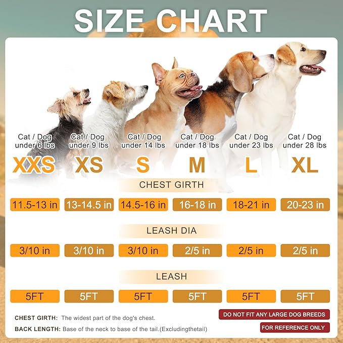 BEAUTYZOO Step in Dog Harness and Leash Set, Reflective Dog Harness No Pull No Choke Puppy Harness for Extra Small Dogs Cats, Soft Padded Mesh Vest Harnesses for Girl and Boy Pets, Orange Plaid S