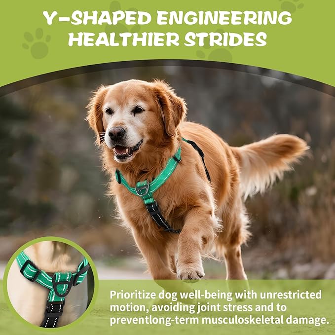 No-Pull Harness,Y-Shaped Design,Buckle-Neck Balance Harness with Reflective Stitching, Ideal for Dog Training and Night Walking, Padded Handle, Durable High-Tensile Nylon-Aqua Green-S