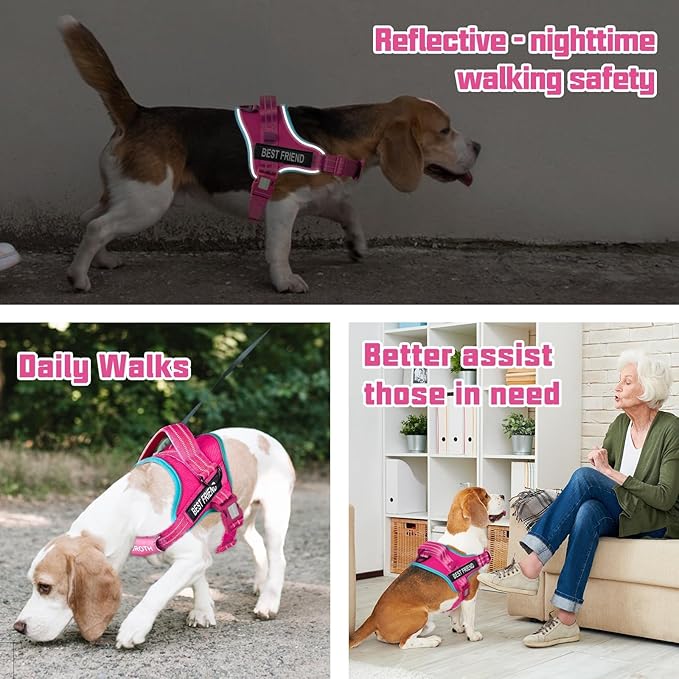 AUROTH Dog Harness and Leash Set, Soft Padded Service Dog Vest with 5.25FT Dog Leash, No Choke, Easy On Pet Vest, Adjustable Reflective No Pull Pet Vest Medium Sized Dog, Easy Walking and Training