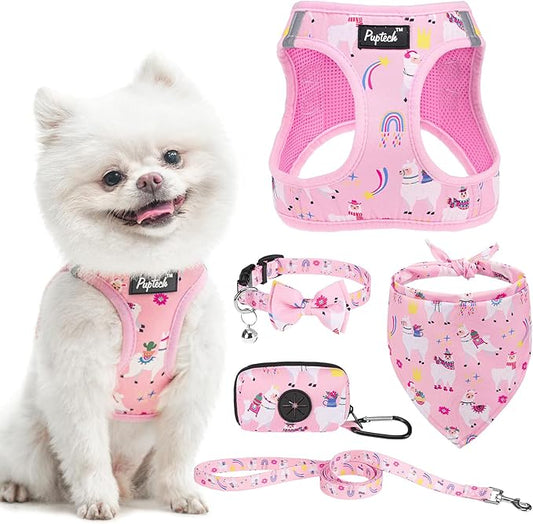 PUPTECK Adjustable Dog Harness Collar and Leash Set, Step in No Pull Pet Harness for Small Medium Dogs Puppy Cats Outdoor Walking, Soft Mesh Padded Reflective Vest Harnesses, Light Pink Alpaca, M