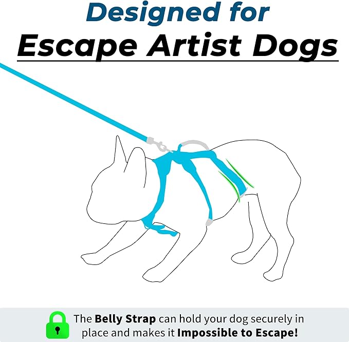 Escape Proof Dog Harness and Leash Set, Lightweight Dog Harness with Lift and Assist Handle, No Pull Reflective Pet Vest for Small Medium Dogs, Ideal for Puppy Walking and Training (Blue, S)