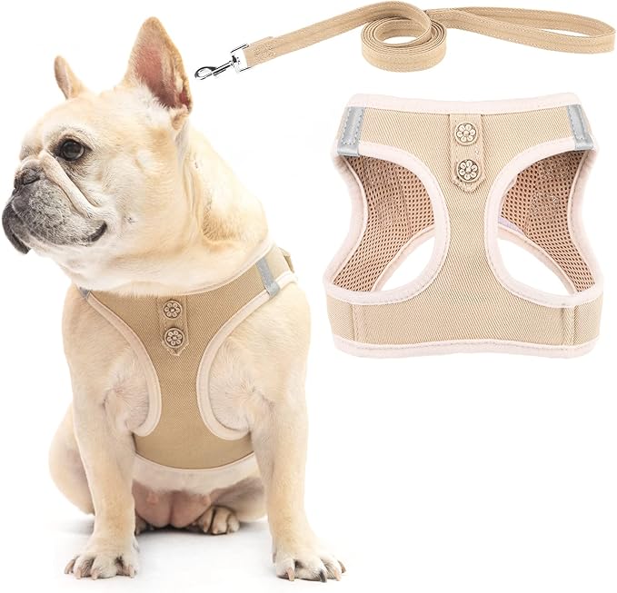 PUPTECK Dog Harness and Leash Set for Small Medium Dogs No Pull Step-in Soft Mesh Puppy Cat Vest Harnesses Reflective at Night, Denim Beige M