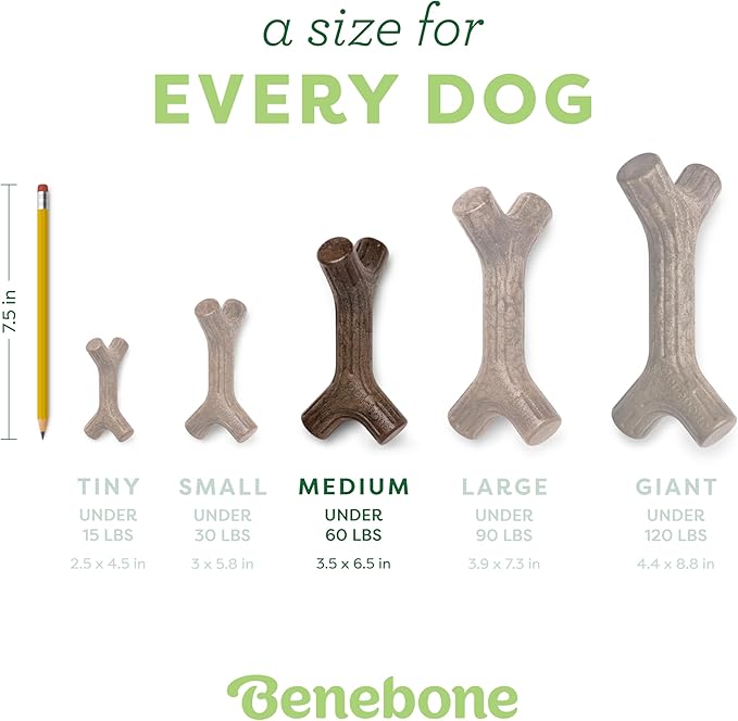 Benebone Bacon Stick Durable Dog Chew Toy for Aggressive Chewers, Real Bacon, Made in USA, Medium