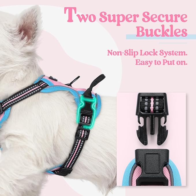 rabbitgoo Dog Harness No Pull with 2 Leash Clips, Adjustable Soft Padded, Reflective Oxford No Choke Pet Vest with Easy Control Handle for Puppy, Pink & Blue, XS