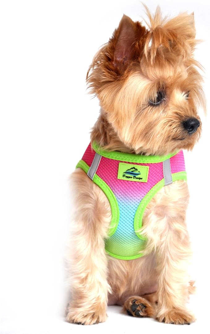 Doggie Design No Choke Dog Harness - Simple Step-in and Go Dog Vest for Small, Medium, and Large Breeds - Breathable Mesh Polyester Pet Harness - Rainbow - XL