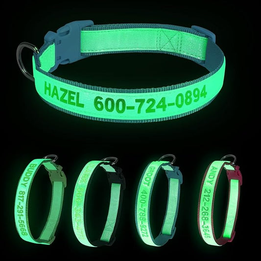 Personalized Reflective Dog Collars, Custom Glowing Luminous ID Collar Embroidered Name and Phone Number 4 Adjustable Sizes X-Small Small Medium Large for Boy and Girl Dogs (Fluorescent Glow)