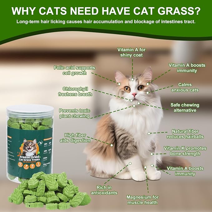 80g Cat Grass Treats for Indoor Cats, Freezed Drying Cat Grass Teething Stick for Hairball Remove Treatment Teeth Cleaning and Dental Care, Edible Kitty Chew Toy Snack