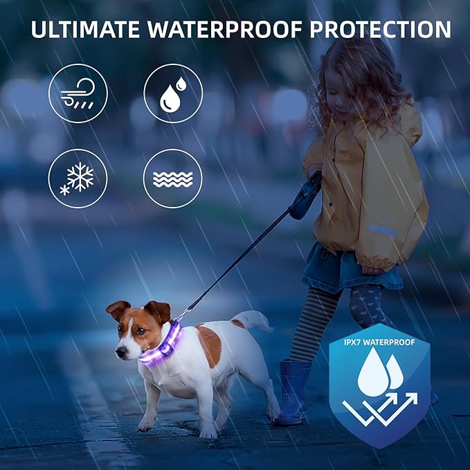 Super Bright LED Dog Collar - Fully Waterproof & Adjustable Glow Collar - USB-C Rechargeable for Night Walking, Safety - Flashing Lighted Collar for Dogs(Purple,Medium)