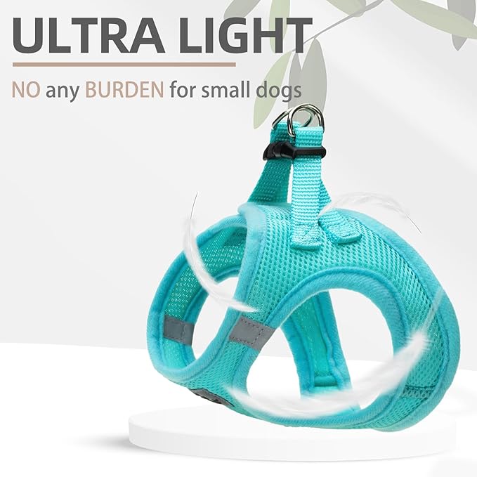 PUPTECK Adjustable Dog Harness Collar and Leash Set Step in No Pull Pet Harness for Small Medium Dogs Puppy and Cats Outdoor Walking Running, Soft Mesh Padded Reflective Vest Harnesses, Turquoise S