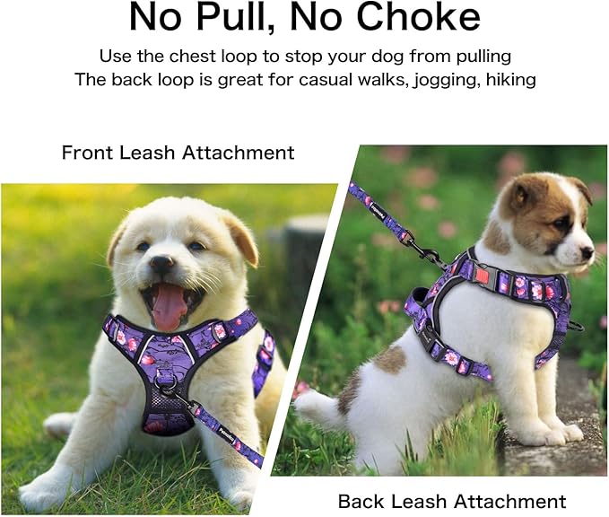 Petmolico No Pull Dog Harness Set with Leash Attachment Easy Control Handle Reflective Harness Vest Small Breed, Puppy Vest and Leash Set with Poop Bag Holder, Small - Purple Peach