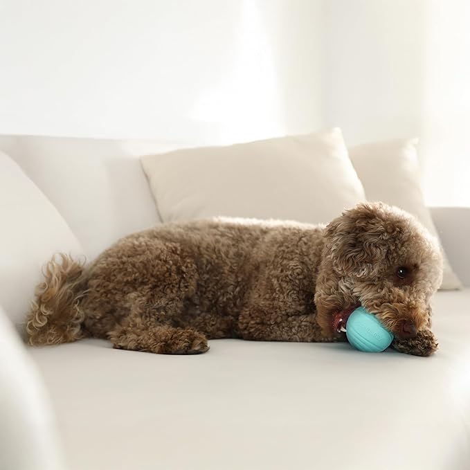 Playology Dog Toys | Dual Layer Ball Durable Chew Toy for Aggressive Chewers | Medium Peanut Butter Scented Toy - Easy to Clean and Made from Non Toxic Materials