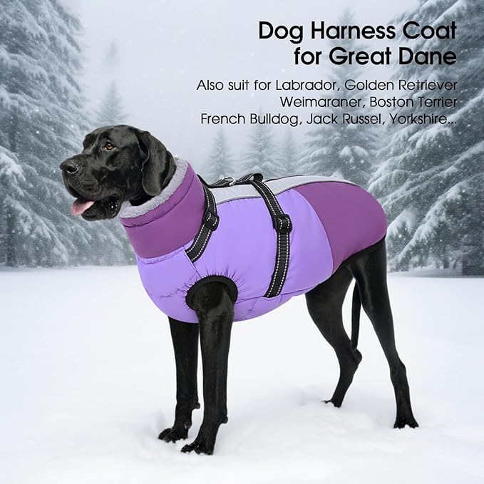SUNFURA Dog Coat, Warm Dog Jacket with Harness Built in, Waterproof Pet Winter Coat Snowsuit with Zipper, Reflective Fleece Jacket for Extra Large Dogs, Weimaraner, Purple XXL