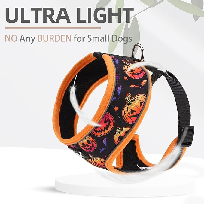 PUPTECK Soft Mesh Dog Harness and Leash Set Pet Puppy Cat Comfort Padded Vest No Pull Harnesses, Halloween Orange, S