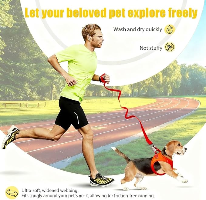 Dog Harness Small Sized and Leash Set, Dog Harness with Leash Set, Comfortable Air Mesh Dog Vest Harness with Reflective Strip, Reflective for Safe Easy Walking Dogs, Cats, Red S