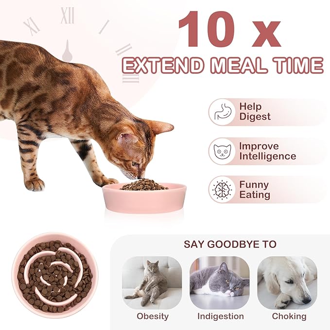 TRUVIC Ceramic Slow Feeder Dog Bowls Small Breed, 0.6 Cup Slow Feeder Cat Bowls for Fast Eaters, Ceramic Dog Food Dish no Black Chin, Puzzle Bowl for Small Dogs and Cats, Pink